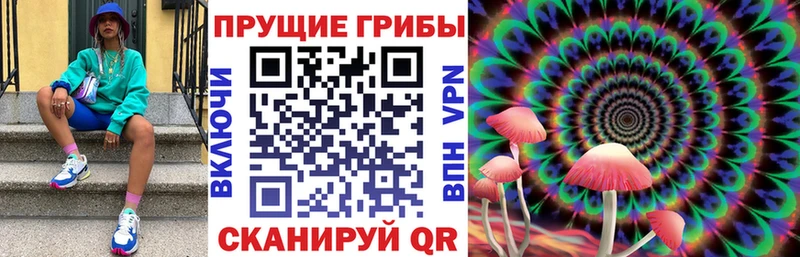 цена   Котлас  Псилоцибиновые грибы мицелий 